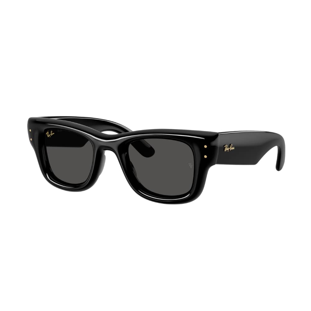 Ray Ban Wayfarer PUFFER